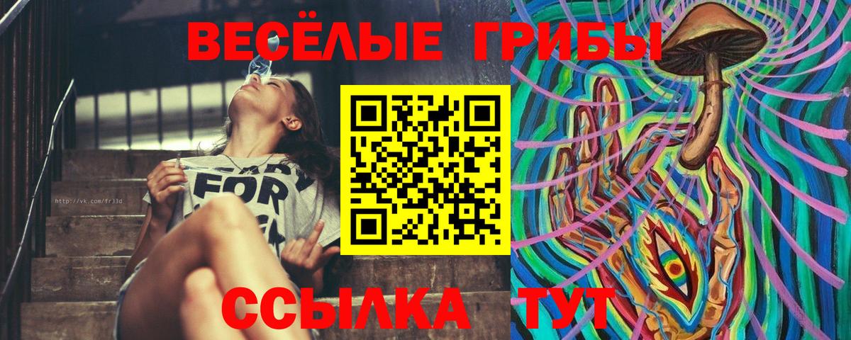 Галлюциногенные грибы GOLDEN TEACHER Наро-Фоминск